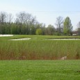 Der Formeinbruch hat echt nicht lange auf sich warten lassen. Hab mir extra einen halbe Tag Urlaub genommen, um eine schöne Golfrunde bei schönem Wetter zu spielen. Angefangen hätts ja ganz gut,...