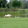Wieder am richtigen Weg Nachdem es mir gestern die geplante Golfrunde verregnet hatte, versuchte ich es heute nochmals. Früh morgens, bereits um halb 8 war ich Startbereit. Vorher noch schnell ein paar Bälle auf der Driving...