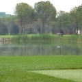 Türkei Belek GC Montgomery