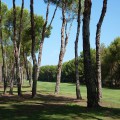 Mallorca GC Santa Ponsa 2