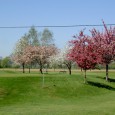 Frei nach dem Motto: “Wer trainiert ist feig!” spielten Judit und ich am 6. April das erste Golfturnier. Es war das Nachtragsturnier vom Faustschlössl in Landshaag, welches letztes Jahr im Herbst auf...