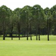 Zum Golfen nach Südtirol Südtirol in Italien ist Sommer wie Winter ein beliebtes Reiseziel für Groß und Klein. Im Sommer lockt das milde Klima, die Berge zum Wandern und die vielen tolle Hotels, die mit einem...