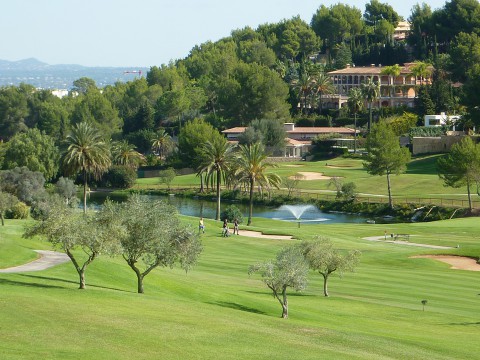 Auch auf Mallorca könnte mal eine Profitour halt machen