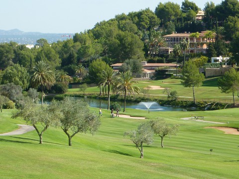 Auch auf Mallorca kÃ¶nnte mal eine Profitour halt machen